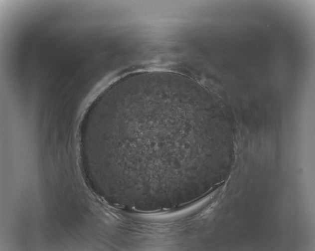 X0000068280295200604281625