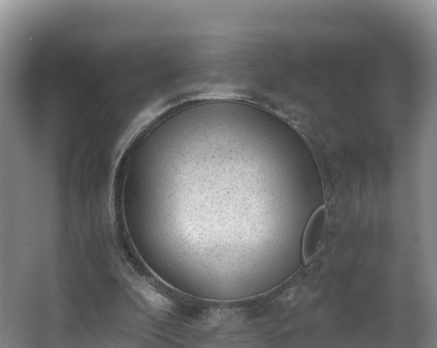 X0000068280296200604281625