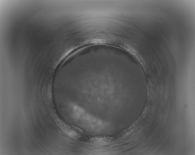 X0000068280297200604281625