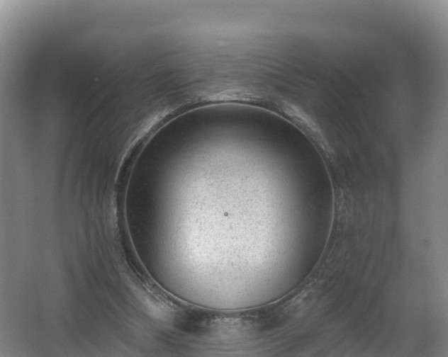 X0000068280298200604281625