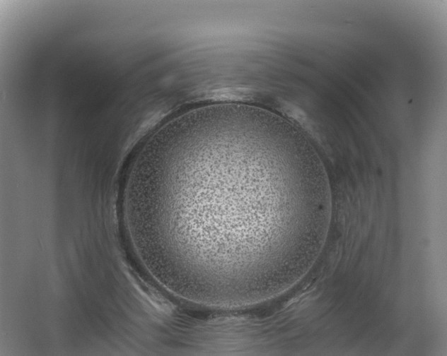 X0000068280299200604281625