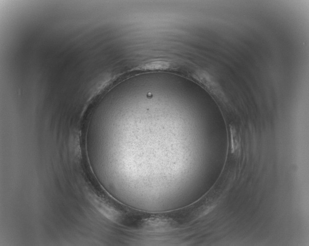 X0000068280300200604281625