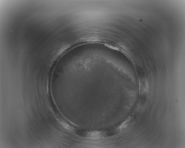 X0000068280301200604281625