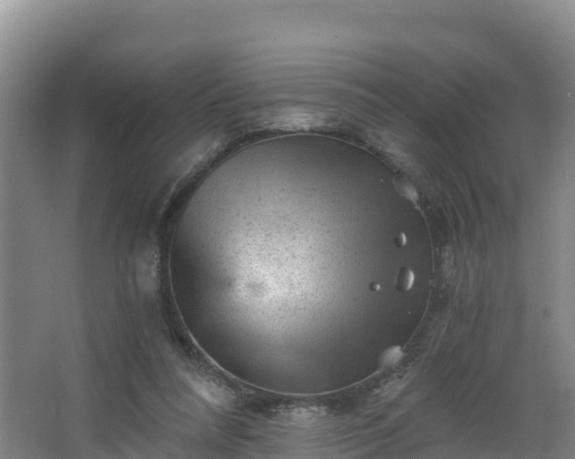 X0000068280304200604281624