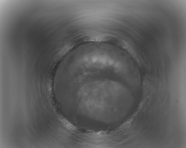 X0000068280305200604281624