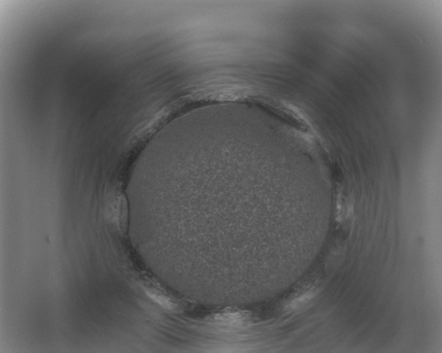 X0000068280307200604281624