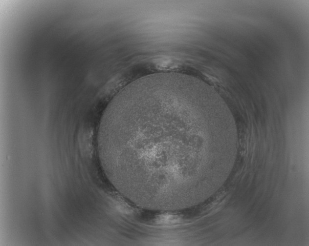 X0000068280319200604281624