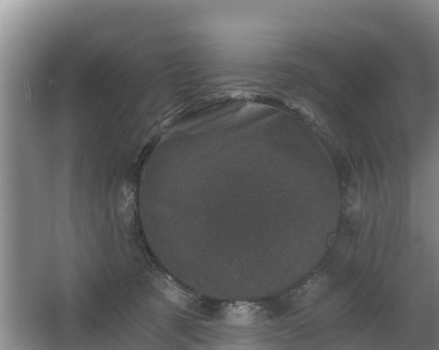 X0000068280321200604281624