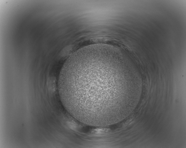 X0000068280323200604281624