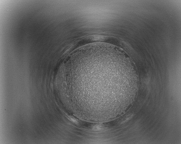 X0000068280325200604281624