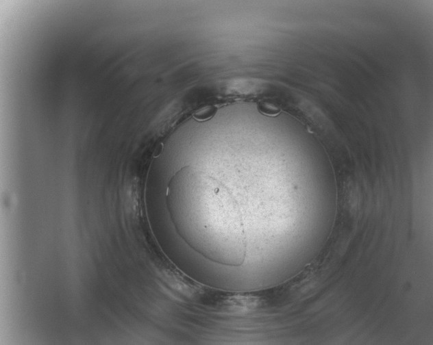 X0000068280328200604281624