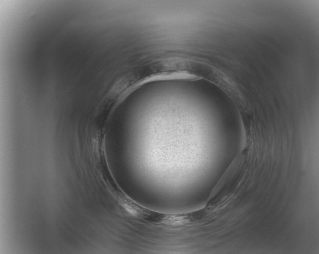 X0000068280333200604281624