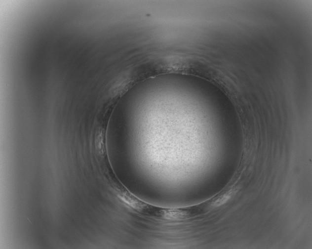 X0000068280336200604281624