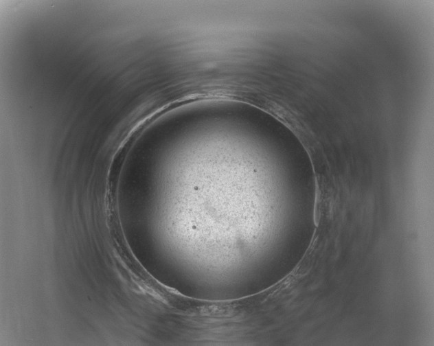 X0000068280338200604281623