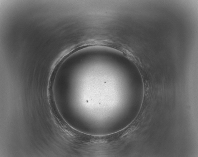 X0000068280340200604281623