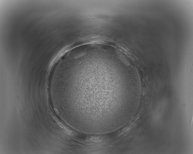 X0000068280341200604281623