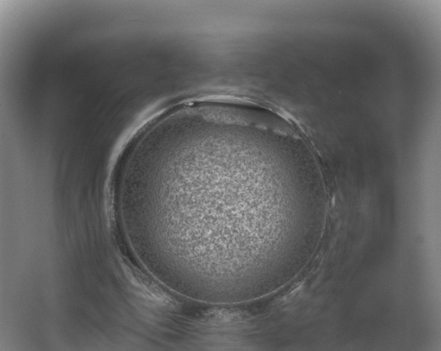 X0000068280343200604281623