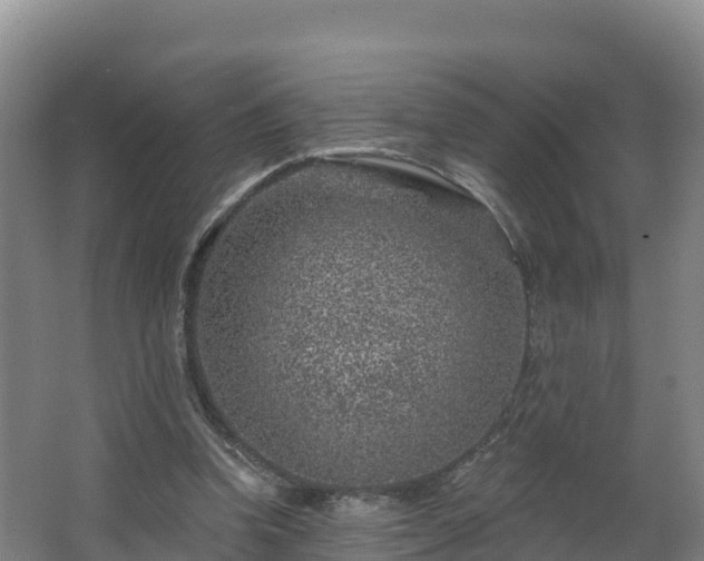 X0000068280346200604281623