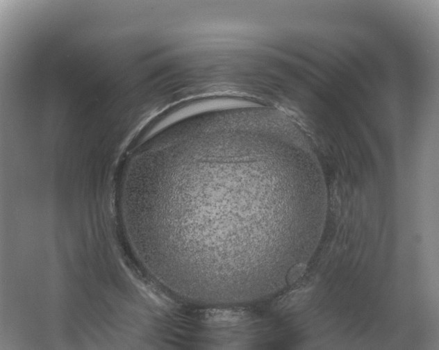 X0000068280347200604281623