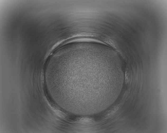 X0000068280348200604281623