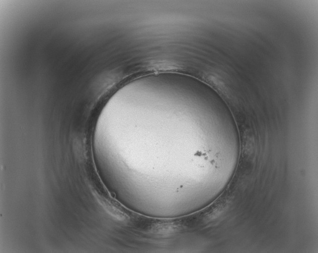 X0000068280351200604281623