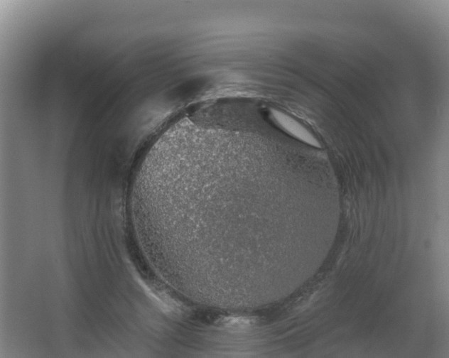 X0000068280352200604281623