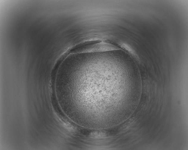 X0000068280354200604281623