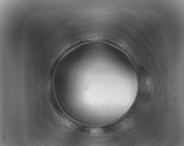 X0000068280355200604281623