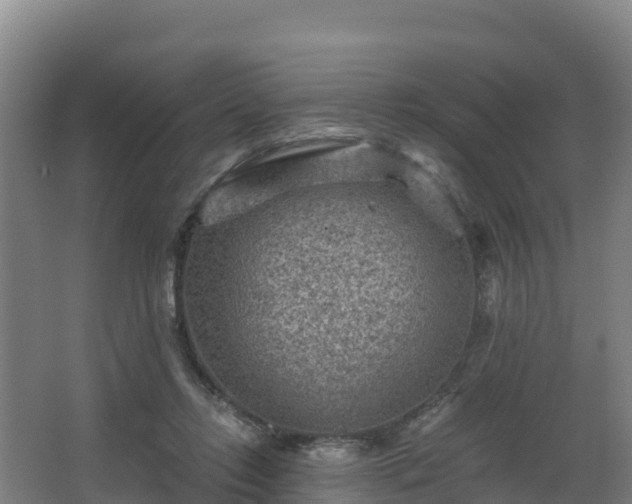 X0000068280358200604281623