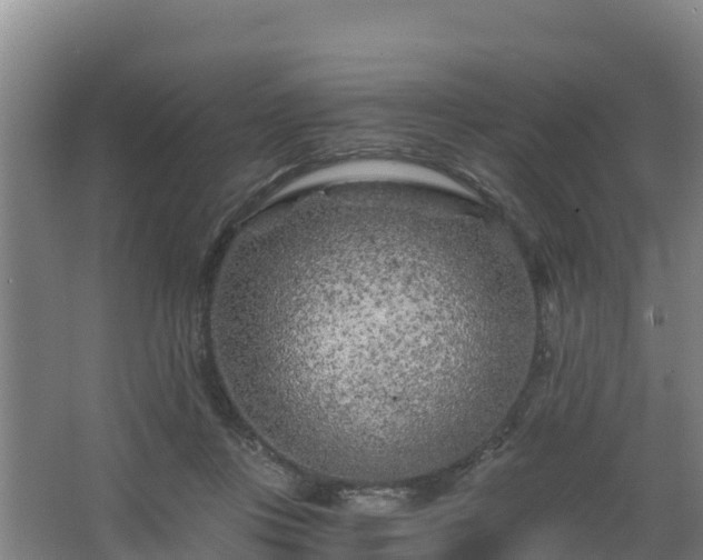 X0000068280359200604281623