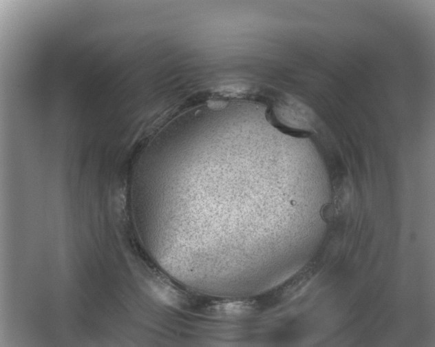 X0000068280365200604281624