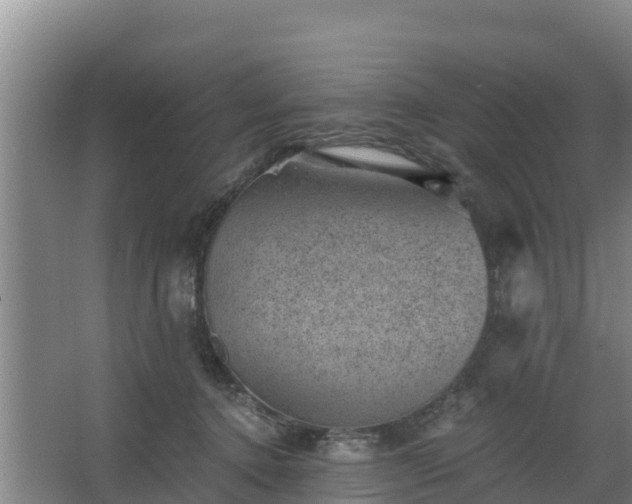 X0000068280368200604281624