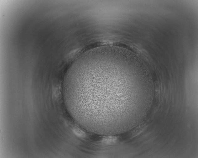 X0000068280369200604281624