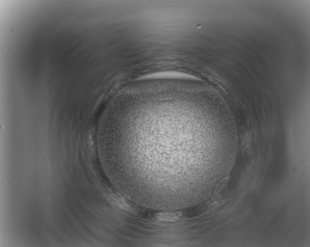 X0000068280373200604281624