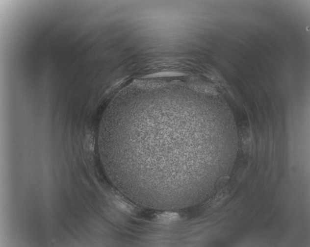 X0000068280374200604281624