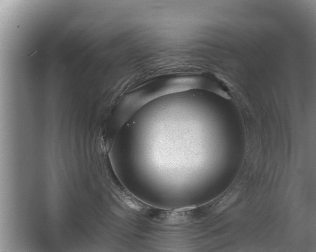 X0000068280384200604281624