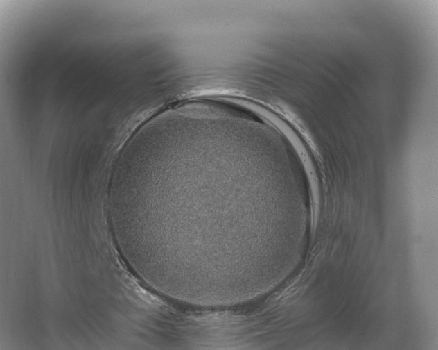 X0000068280385200604281623