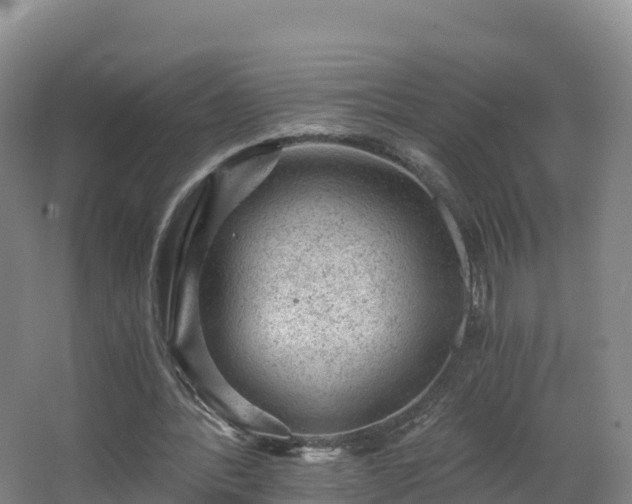 X0000068280388200604281623