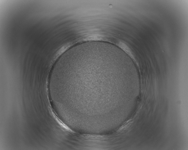 X0000068280389200604281623