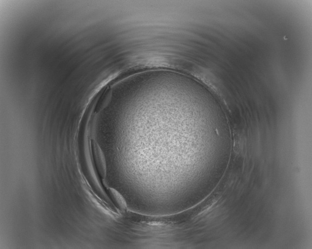 X0000068280390200604281623