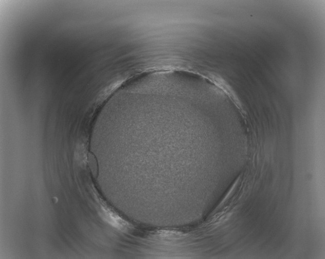 X0000068280393200604281623