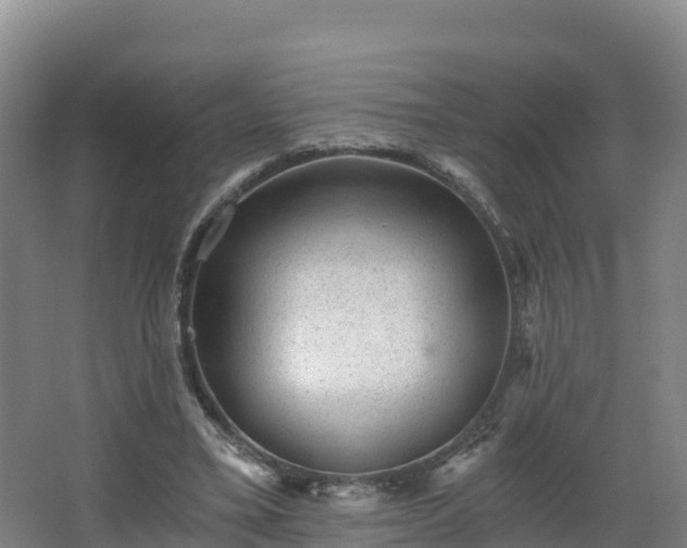 X0000068280395200604281623