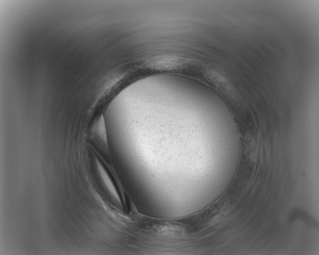 X0000068280400200604281623