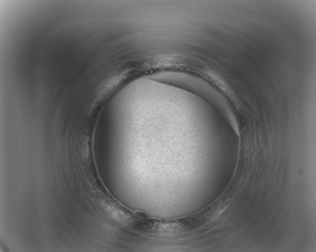 X0000068280401200604281623