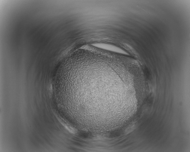 X0000068280405200604281623