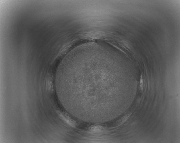 X0000068280408200604281623