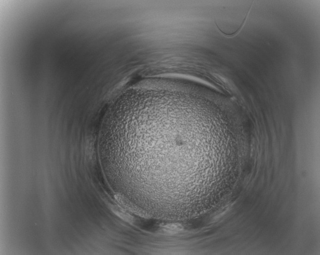 X0000068280409200604281623