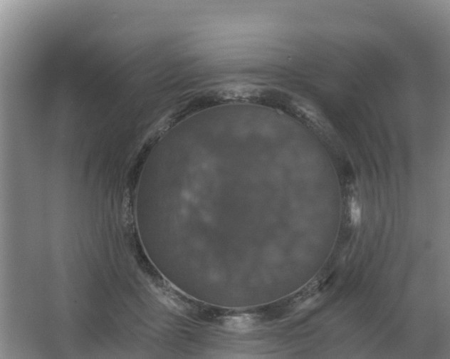 X0000068280411200604281623