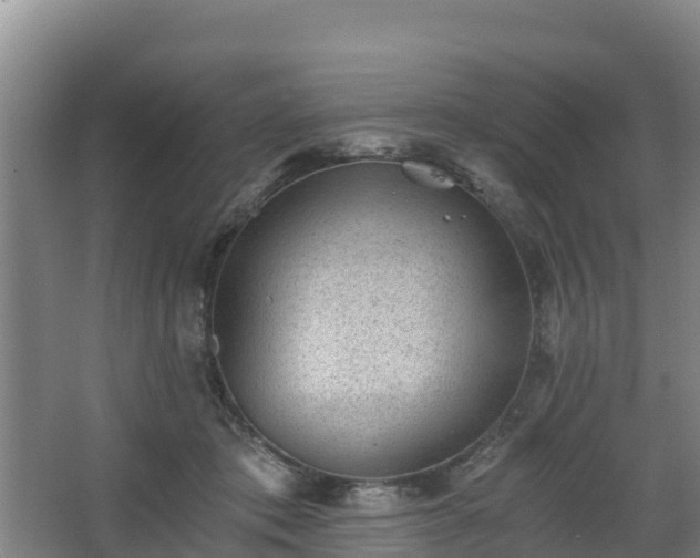 X0000068280413200604281623