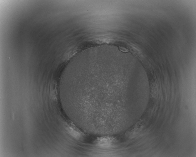 X0000068280414200604281623